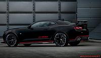 2016z28 Black back