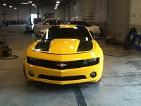 My bumblebee