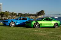 Mustangs by the bay