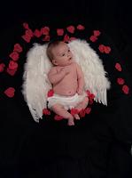 Little Cupid