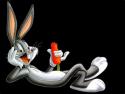 Wabbit's Avatar