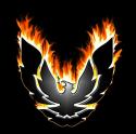 V8 Firebird's Avatar