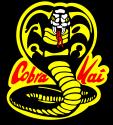 Cobra Kai's Avatar