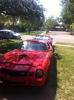 Out in the sunlight; gasp!