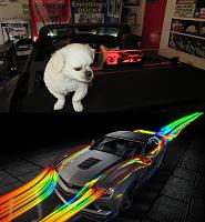 Sugar's ZL1