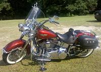 Harley