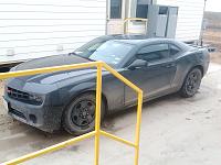 My poor baby. 2 days till I'm off and gunna treat her to a shower.