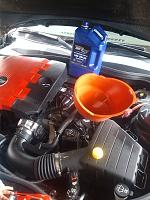 Feeding my baby some royal purple.