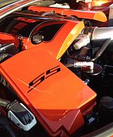 Roto Fab custom painted engine cover install.  
Carbon fiber intake cover  
Custom painted fuse box relay 
Billet custom strut covers