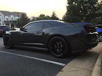 New shoes on Bella