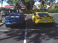 bumble blue2