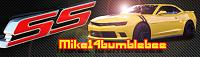 Mike14bumblebee banner2