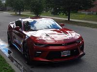 CHEETAH 6