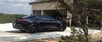 Camaro, House Avatar