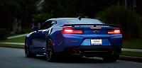 Evening Rear