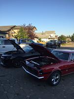 IMG 4667