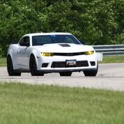 IMG 0213