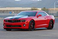 Fessler Moss 
*Would love to have this one*