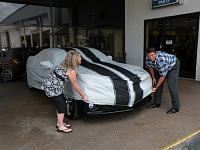 Unveiling Beauty (Surprise!!!)