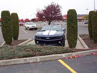Best parking spot at the mall
