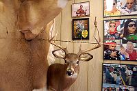 NY State Big Buck Club Archery..  back yard Buck.