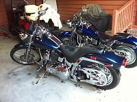 my 2000 Harley Softail Custom
