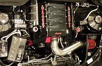 The HEART of BLACK BEAUTY