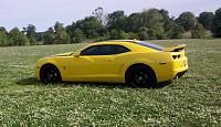 camaro field2