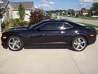 Window Tint & Carbon Fiber Emblems