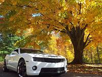 Fall pics