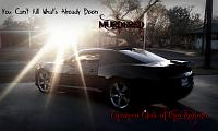 shining camaro