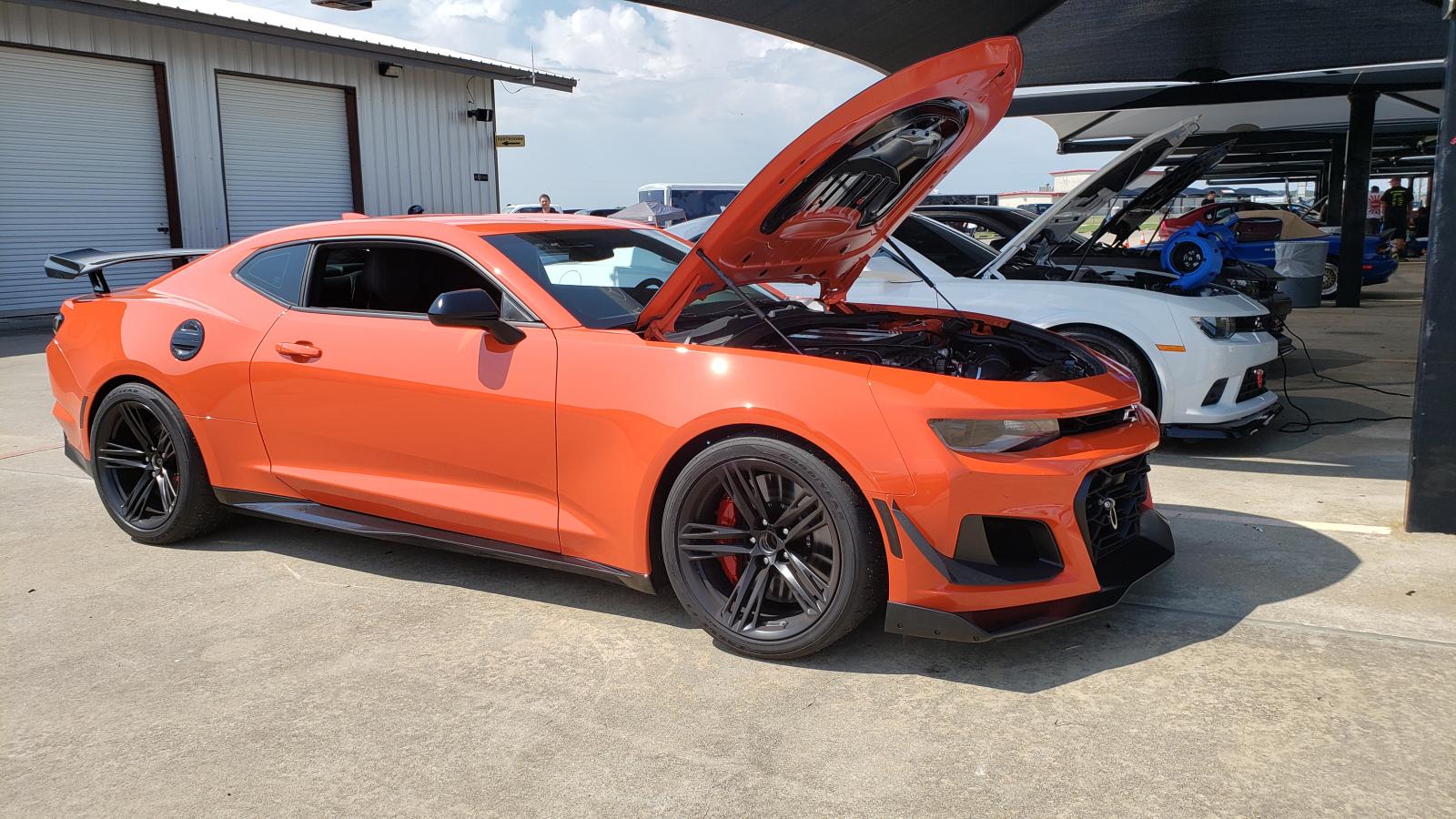 Name:  MSR1 Sept 2019.jpg
Views: 987
Size:  248.8 KB