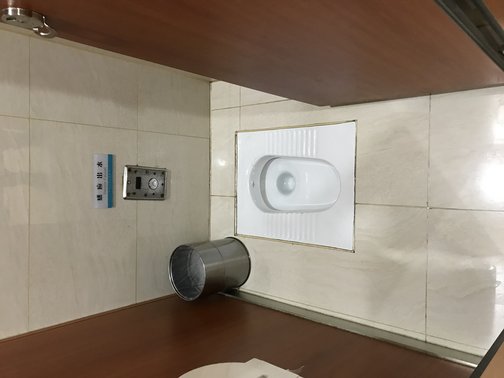 Name:  China toilet.jpeg
Views: 535
Size:  32.4 KB
