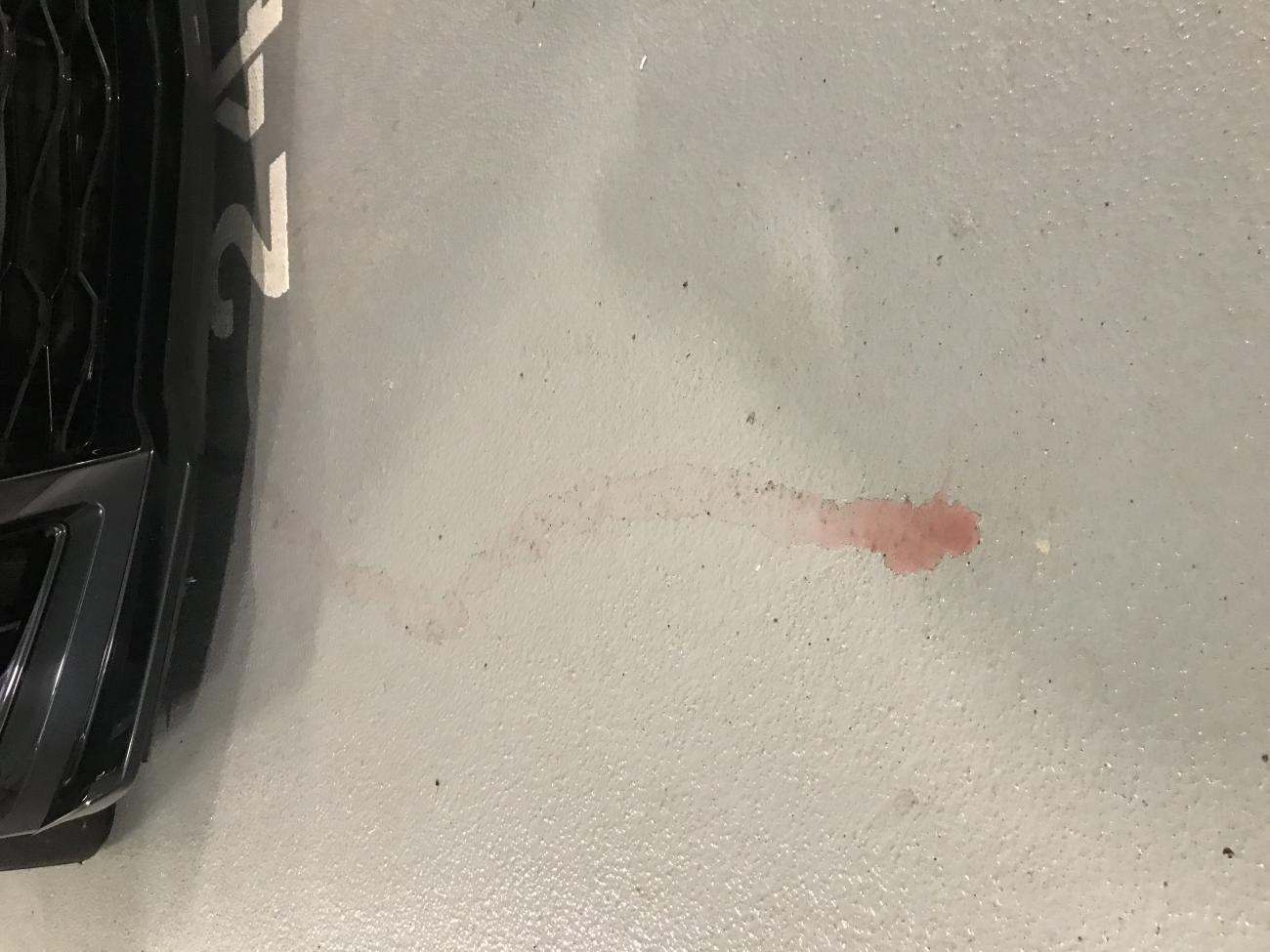 Name:  Coolant Leak.jpg
Views: 795
Size:  121.6 KB