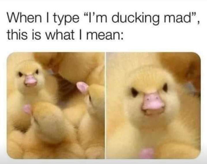 Name:  FB_IMG_1598120693962.jpg
Views: 2432
Size:  25.4 KB