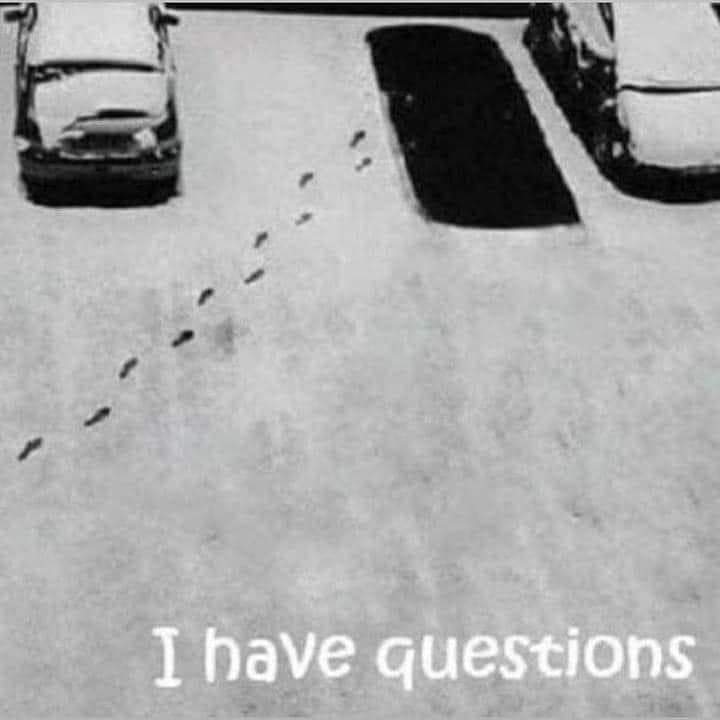 Name:  FB_IMG_1611624757722.jpg
Views: 966
Size:  27.4 KB