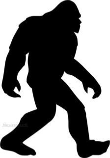 Name:  Sasquatch.jpeg
Views: 397
Size:  11.3 KB