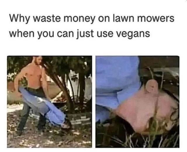 Name:  vegan lawn mower.jpg
Views: 436
Size:  43.9 KB