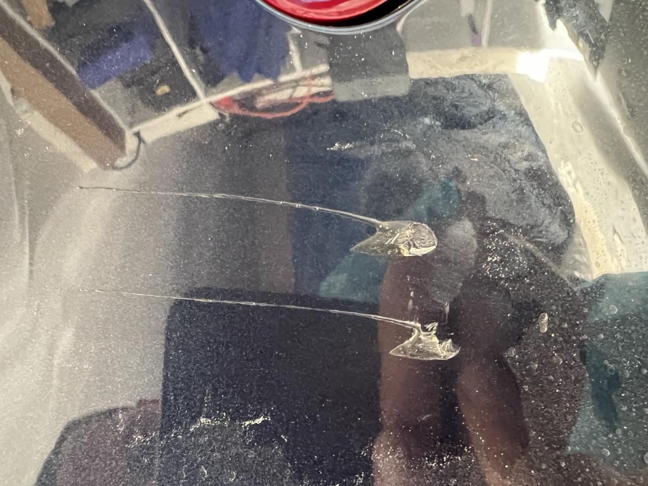 Name:  IMG_5786.jpg
Views: 69
Size:  194.3 KB