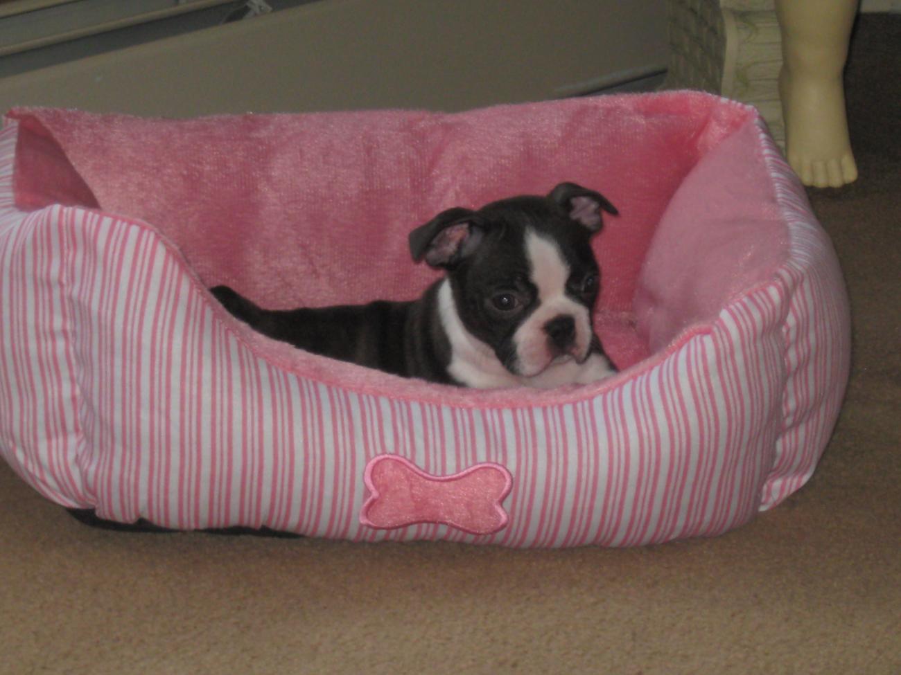 Name:  IMG_1440.jpg
Views: 1261
Size:  105.6 KB