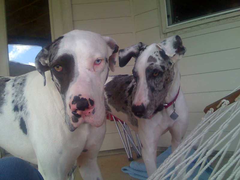 Name:  017.JPG
Views: 936
Size:  45.0 KB