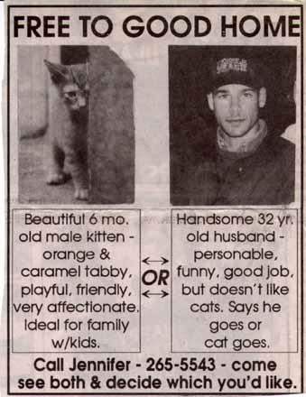 Name:  husband_or_cat_ad.jpg
Views: 1029
Size:  28.7 KB