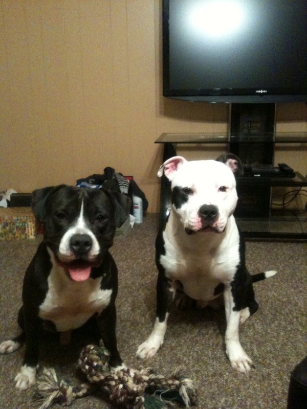 Name:  IMG_0455.JPG
Views: 378
Size:  147.1 KB