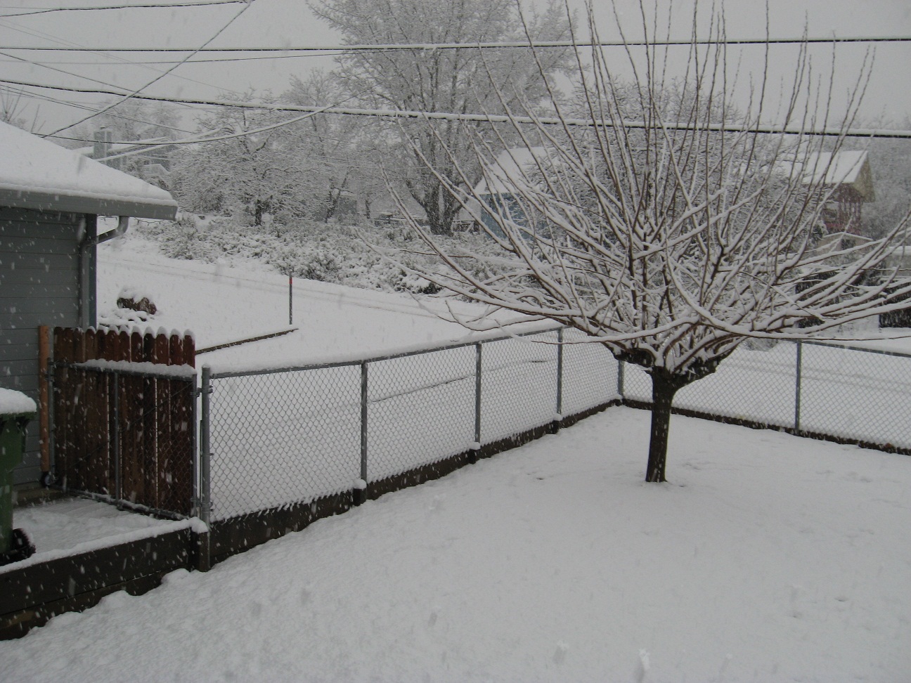 Name:  02-17-11 004.JPG
Views: 427
Size:  442.2 KB