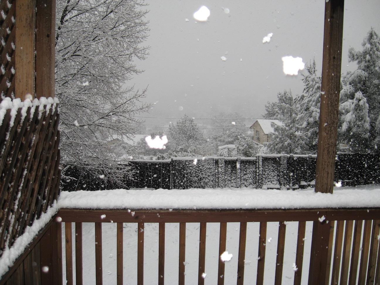 Name:  02-17-11 009.JPG
Views: 706
Size:  494.8 KB