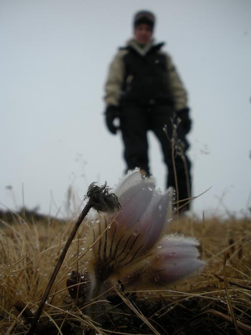 Name:  France 2009 291 sm.JPG
Views: 285
Size:  40.3 KB