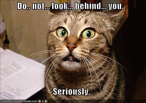 Name:  funny-pictures-dont-look-behind-cat.jpg
Views: 484
Size:  35.8 KB