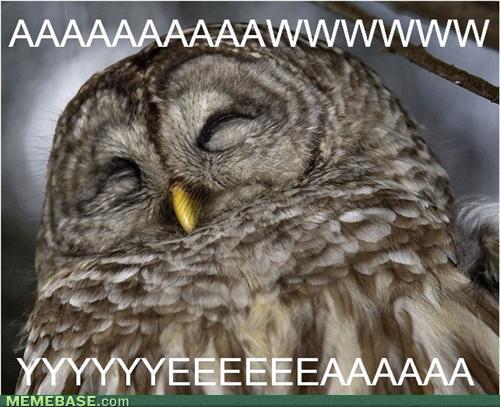 Name:  memes-no-longer-an-art-student.jpg
Views: 151
Size:  46.2 KB