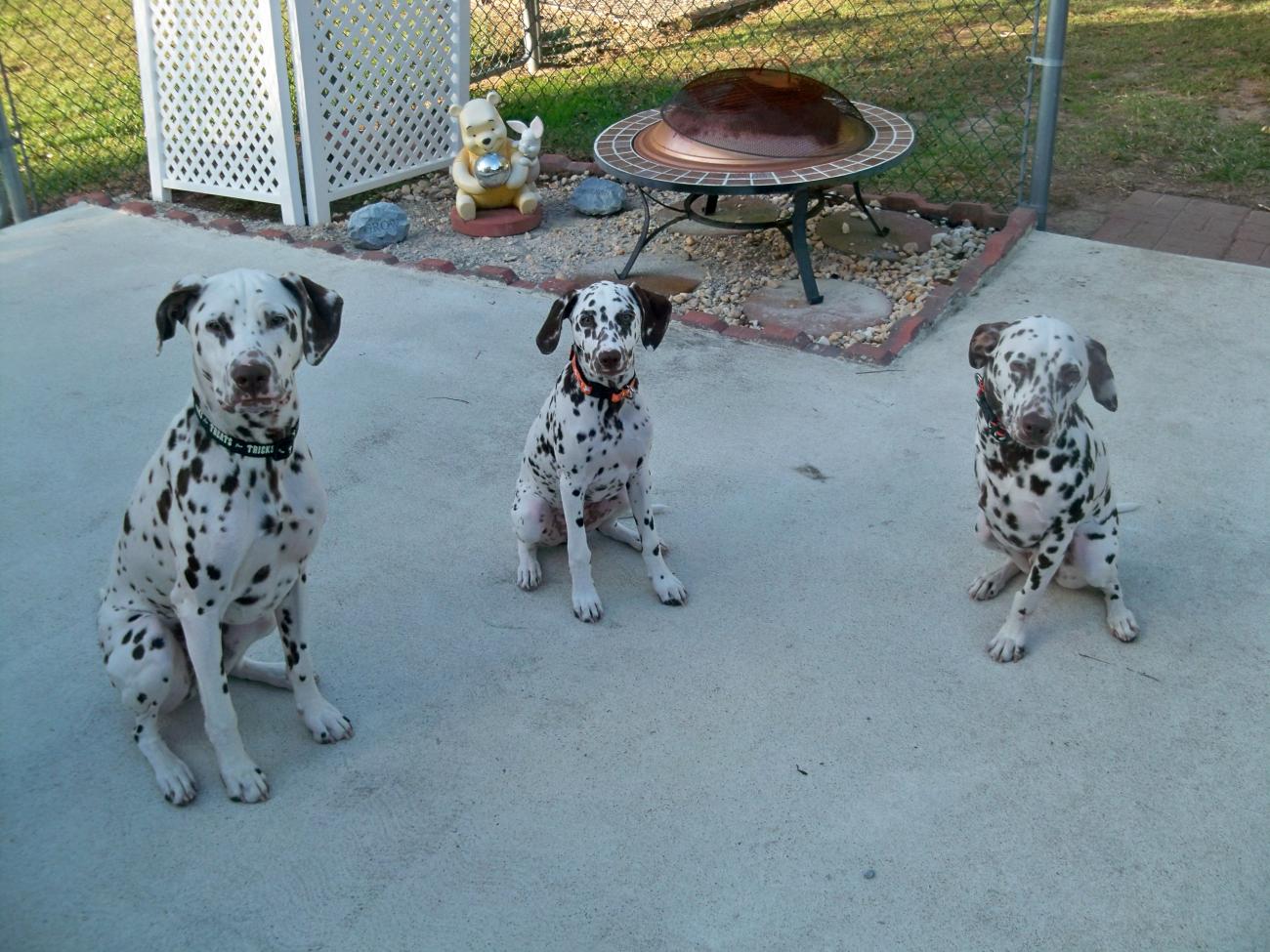 Name:  100_1466.jpg
Views: 649
Size:  194.4 KB