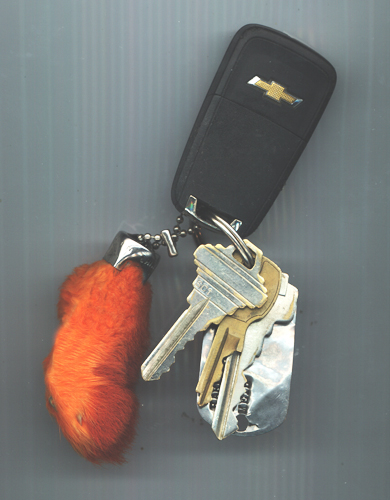 Name:  KEYS and FOOT.jpg
Views: 385
Size:  153.7 KB